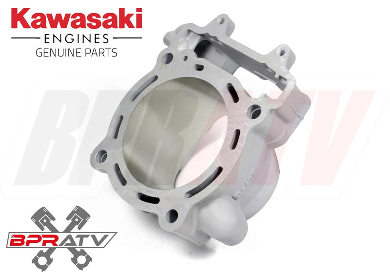 2006 KX450F KX 450F OEM Cylinder Engine Rebuild Kit Complete Top Bottom End Redo