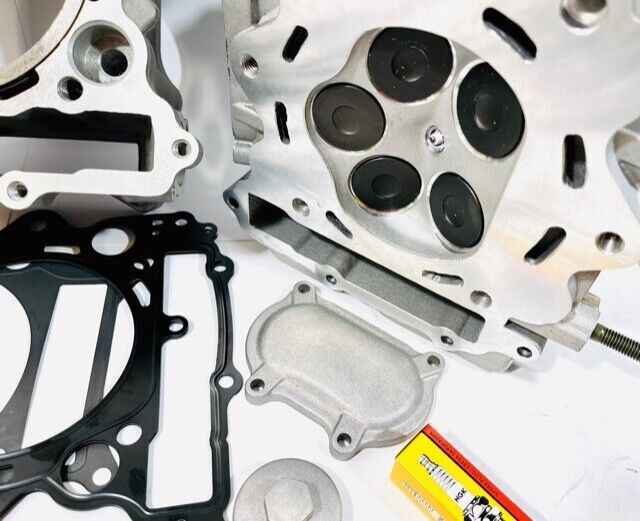 Rhino 660 Stock Bore 100mm Cylinder Head Piston Top End Rebuild Kit Hot Cams Cam