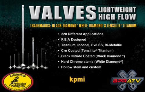 Can Am DS 650 OEM Intake Exhaust Valves Kibblewhite Black Diamond KP Viton Seals