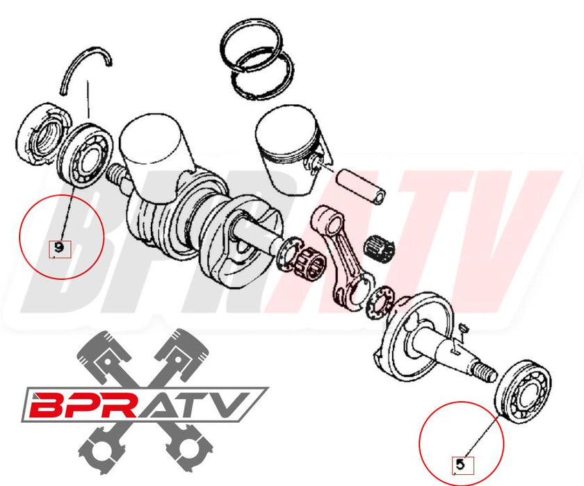 Banshee 350 SKF Max Load Outer Main Crank Bearings Set Crank Bearing Upgrade Kit