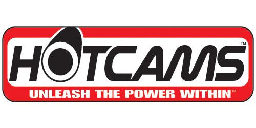 HotCams Timing Chain 03-07 Polaris Predator Outlaw 500 HD Cam Chain Replaces OEM