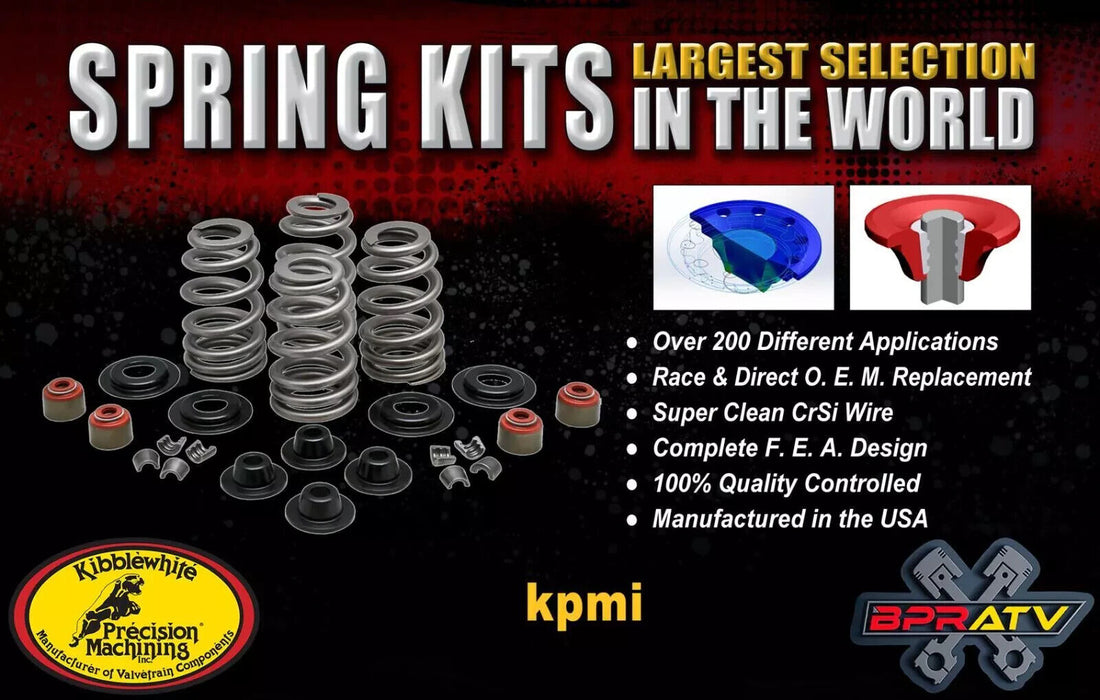 Kawasaki KLX300R KLX 300 Kibblewhite Head Intake Exhaust Valve Springs RED Seals