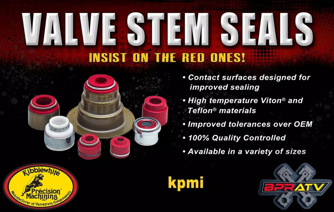 Kawasaki KLX300R KLX 300 Kibblewhite Head Intake Exhaust Valve Springs RED Seals