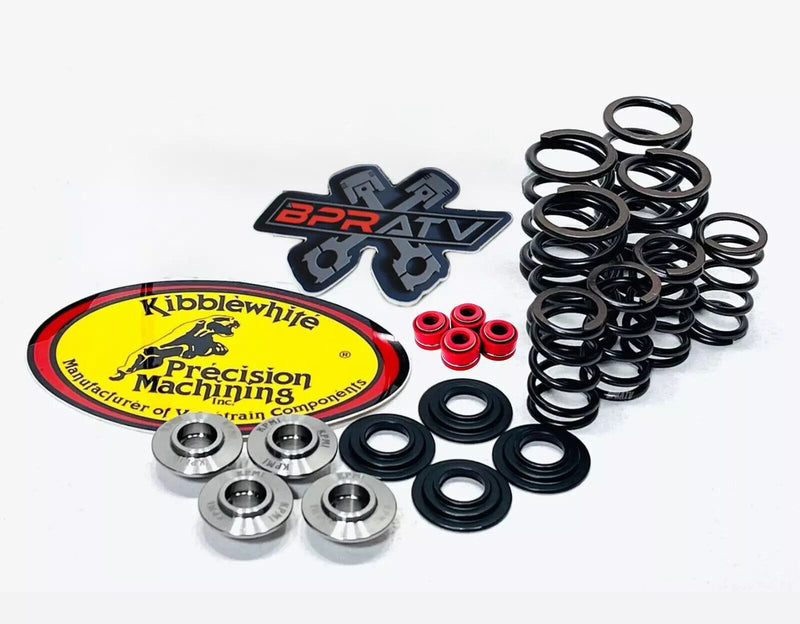 Kawasaki KLX300R KLX 300R Kibblewhite Head Intake Exhaust Valves Springs & Seals
