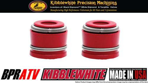 01-13 Yamaha YZ250F YZ 250F Kibblewhite Head Intake & Exhaust Valve Guides Seals