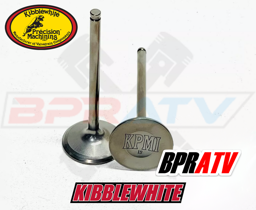 Suzuki RMZ 250 RMZ 250 Kibblewhite Intake & Exhaust Valves & TITANIUM Spring Kit