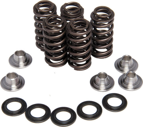 400EX 400X XR400 KIbblewhite Valves Valve Springs Cylinder Head Valve Cover Kit