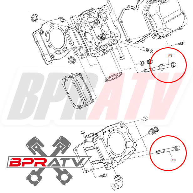 Polaris Sportsman Ranger 500 Complete Titanium Cylinder Head Crankcase Stud Kit