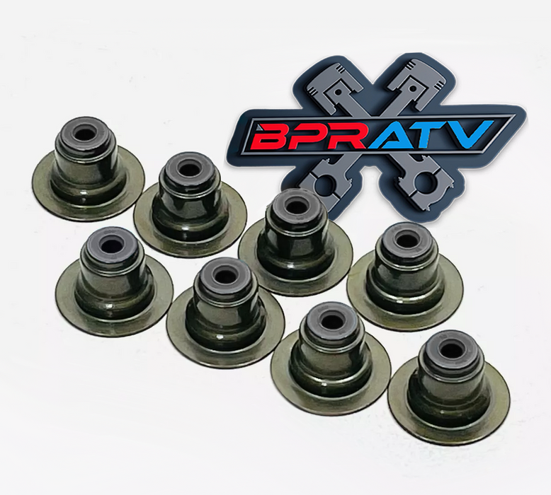 BPRATV Polaris RZR XP 900 VALUE Top End Engine Rebuild Kit Cylinder Piston 11-14