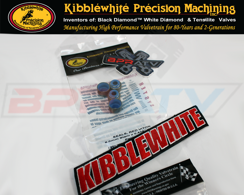 DS650 DS Baja 650 650X 105mm Big Bore Cometic Top End Gasket Kit MLS +KPMI Seals