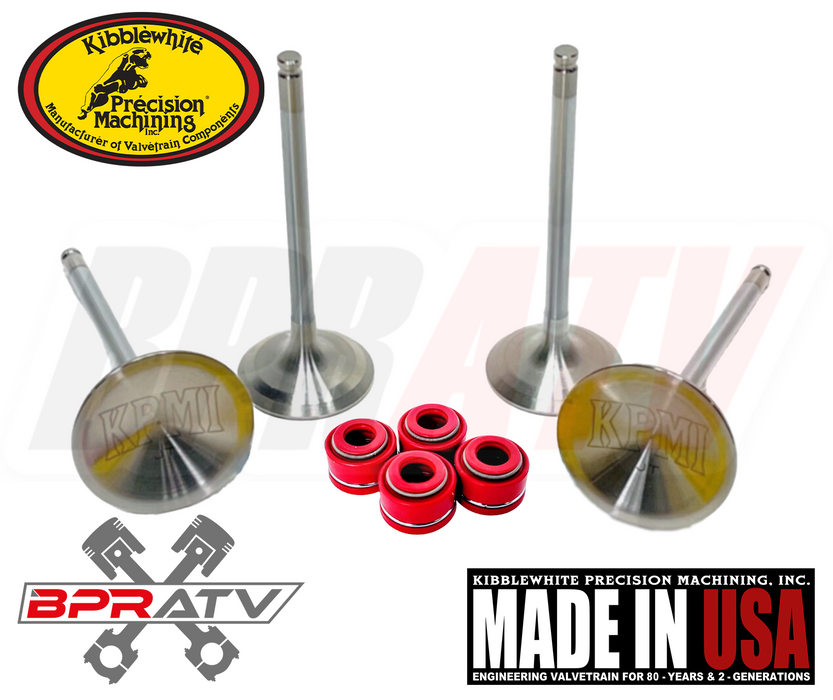 Suzuki RMZ250 RM-Z 250 Kibblewhite Intake Exhaust Valves RED Seals Ti Spring Kit