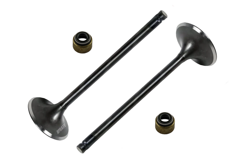 Yamaha Raptor 350 OEM Stock Replacement Kibblewhite Intake Exhaust Valves 04-13
