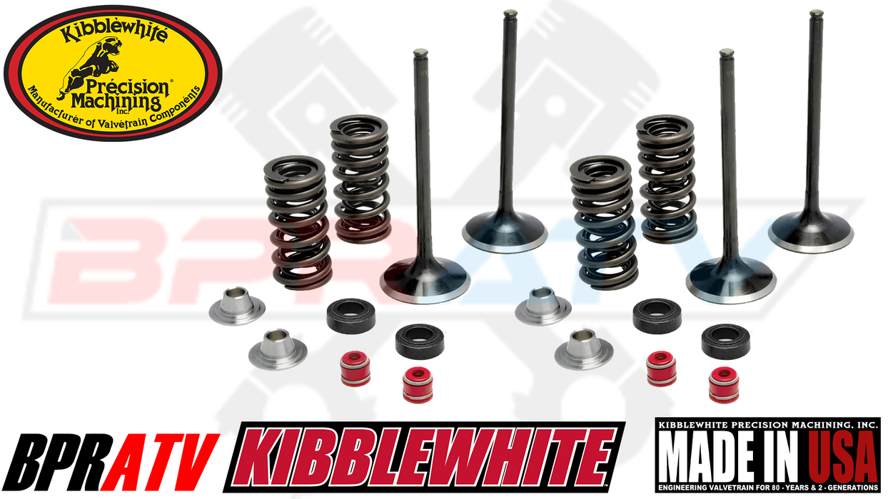 400EX 400X XR400 KIbblewhite Valves Valve Springs Cylinder Head Valve Cover Kit