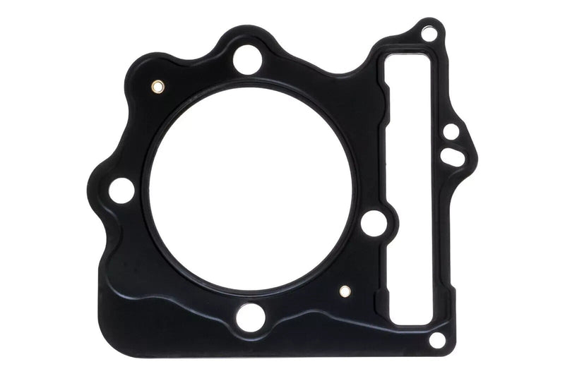 BEST Honda TRX 400EX 400X Top End Rebuild Kit Stock Cylinder Piston Camshaft SKF