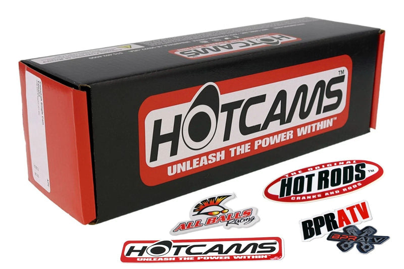 Raptor 660 Big Bore Kit Stage 3 Hot Cams 102mm Cylinder 686 Top End Redo Rebuild