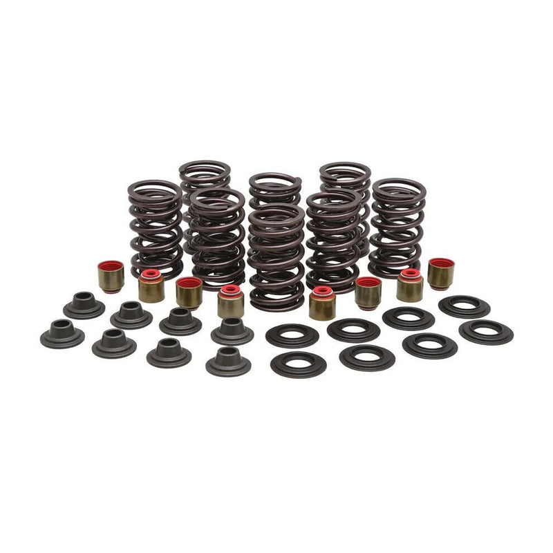 RZR XP 900 1000 Kibblewhite Valve Springs Seals Beehive Heavy Duty Spring Kit
