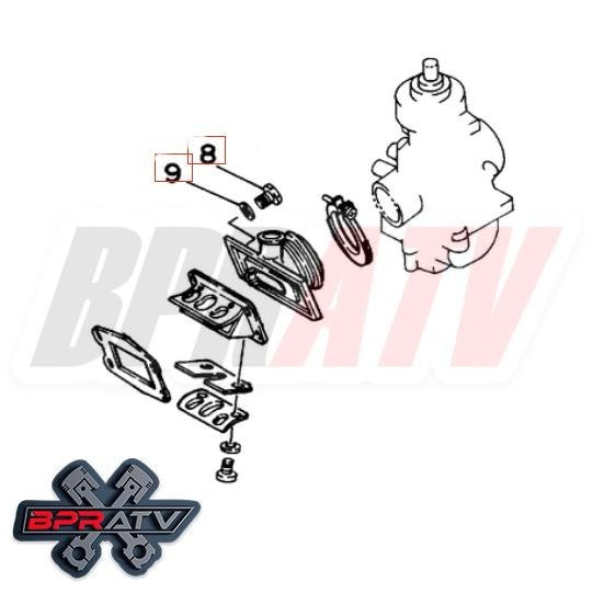 Yamaha Blaster YFS200 BPRATV Talon Titanium Reed Valves Bolts Bolt Kit Ti Washer