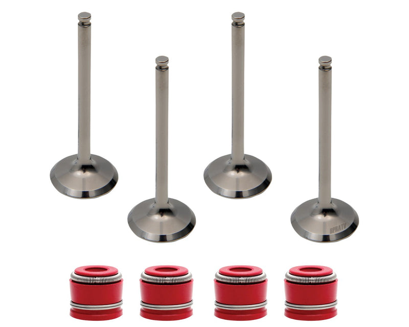 Kawasaki KLX300R KLX 300R Kibblewhite Head Intake Exhaust Valves Kit Set & Seals