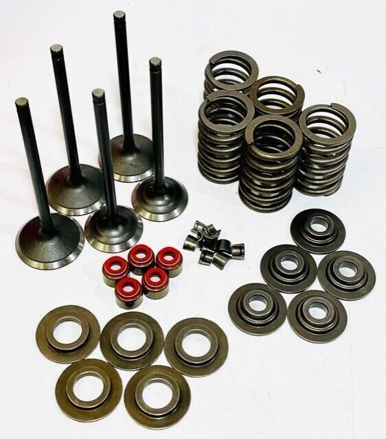 Raptor 660 Valves Valve Springs Retainers Spring Kit Aftermarket Head Rebuild