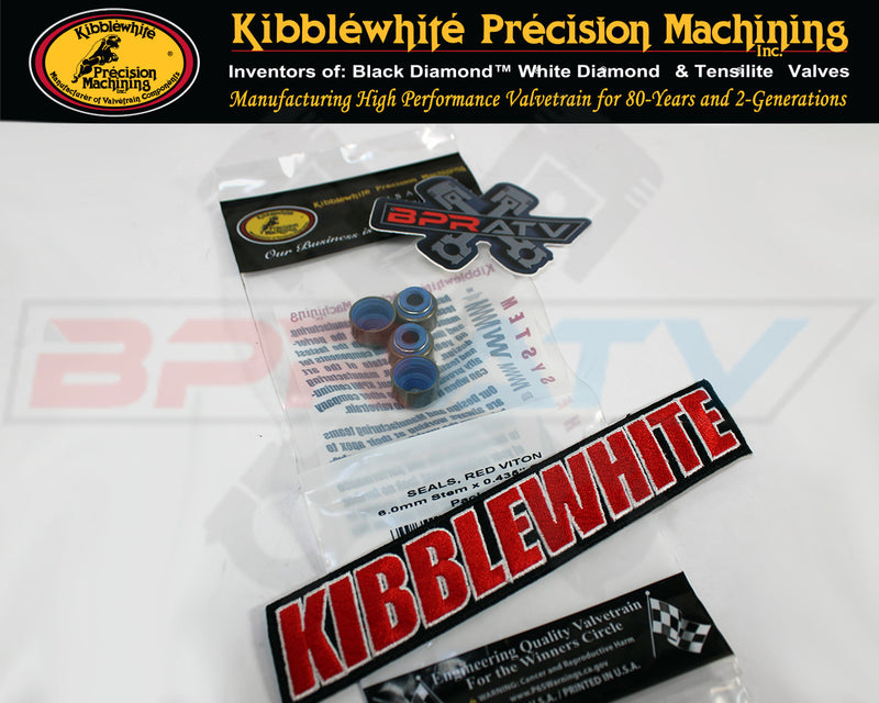 DS650 DS Baja 650 650X 105mm Big Bore Cometic Top End Gasket Kit MLS +KPMI Seals