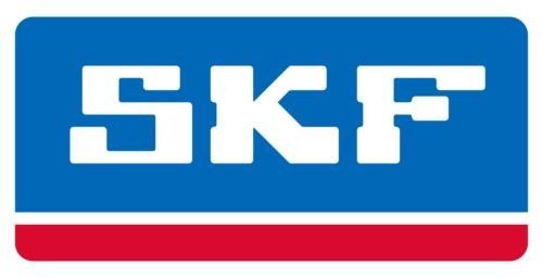 Honda TRX250EX TRX 250EX 250X TM Recon 250X SKF Main Crankshaft Bearing Upgrade