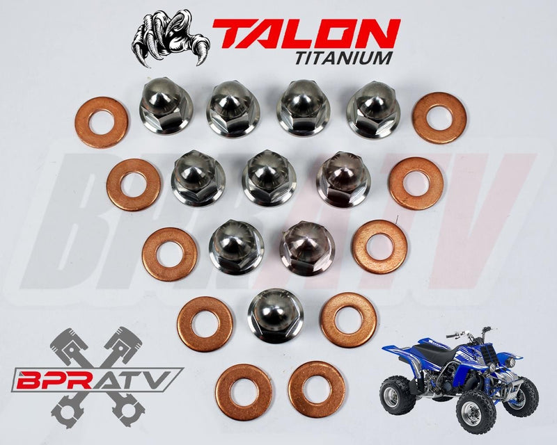 Yamaha Banshee 350 YFZ350 Cool Head Rebuild TITANIUM Acorn Nuts Washers Stud Kit