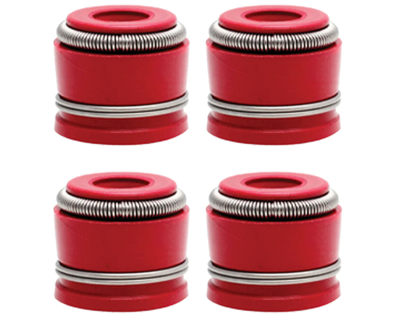 04 05 06 Suzuki RMZ250 RMZ 250 Kibblewhite Intake & Exhaust Valves Springs Seals