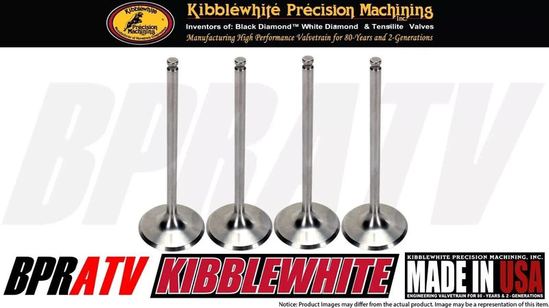 04 05 06 Suzuki RMZ250 RMZ 250 Kibblewhite Intake & Exhaust Valves Springs Seals