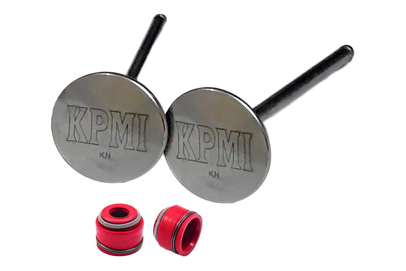 2019-2025 Yamaha YZ250F YZ WR 250F OEM Kibblewhite TITANIUM Intake Valves Seals