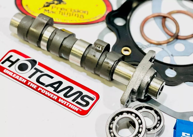 TRX 400EX 400X Top End Rebuild Hotcams Valve Springs Complete Stock Cylinder Kit