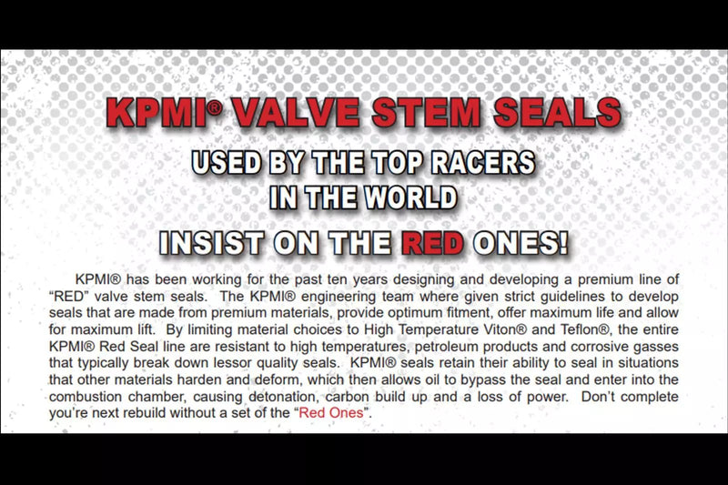 20-25 Yamaha YZ250FX YZ 250FX Stock Kibblewhite Intake Exhaust Valves RED Seals