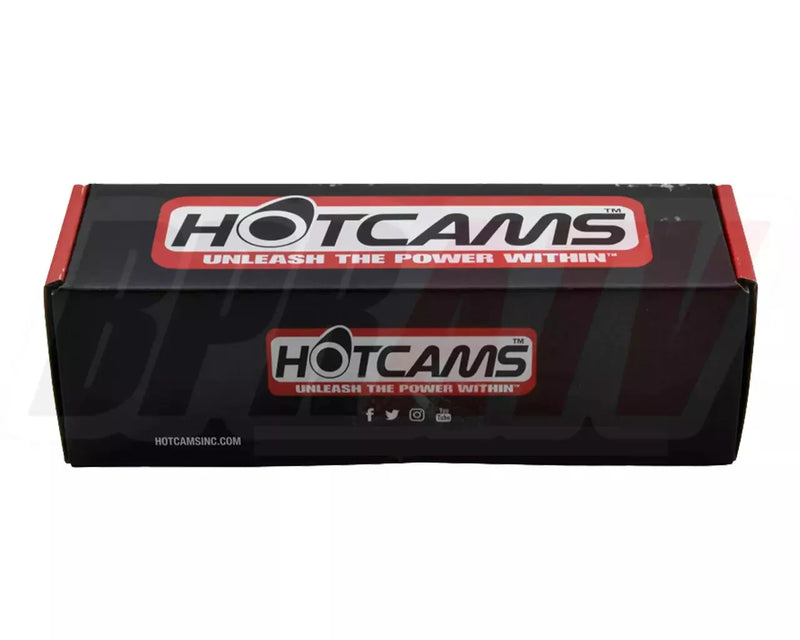 TRX400EX TRX 400EX Cylinder Stock Bore Top End Rebuild Hot Cam Bearings Complete