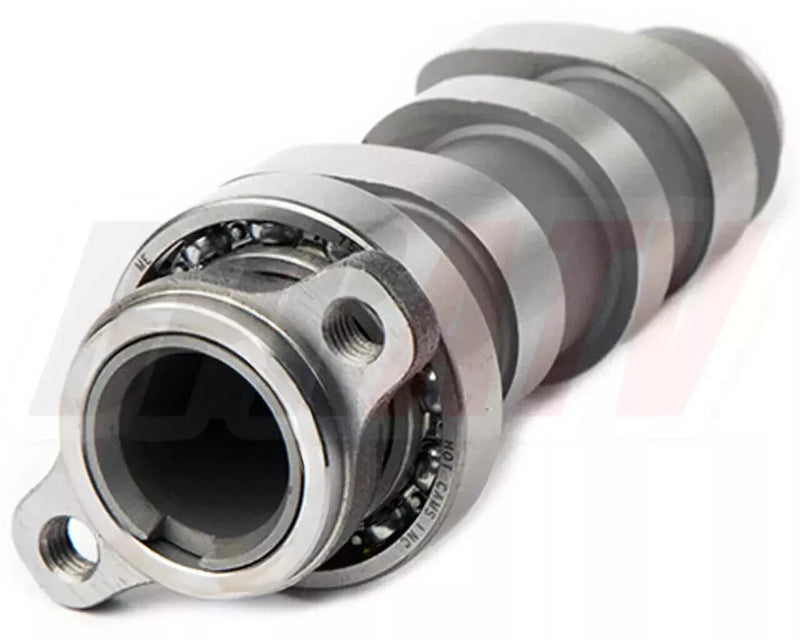 TRX400EX TRX 400EX Cylinder Stock Bore Top End Rebuild Hot Cam Bearings Complete