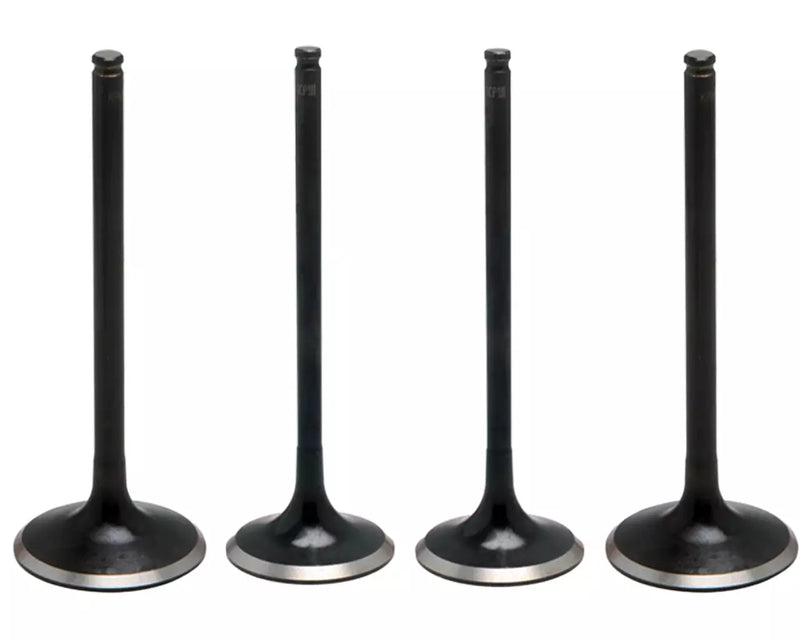 400EX 400X TRULY COMPLETE Head Rebuild Redo Valve Valve Springs Rocker Arm Shaft