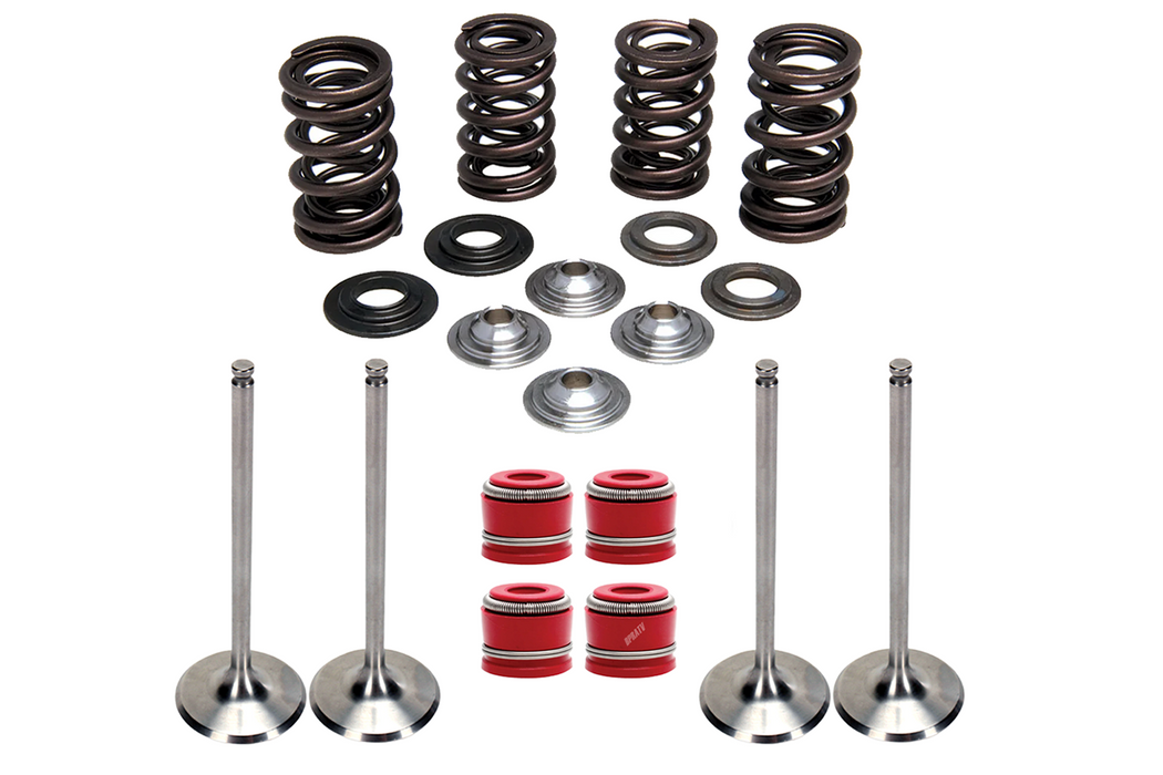 Suzuki RMZ250 RM-Z 250 Kibblewhite Intake Exhaust Valves RED Seals Ti Spring Kit