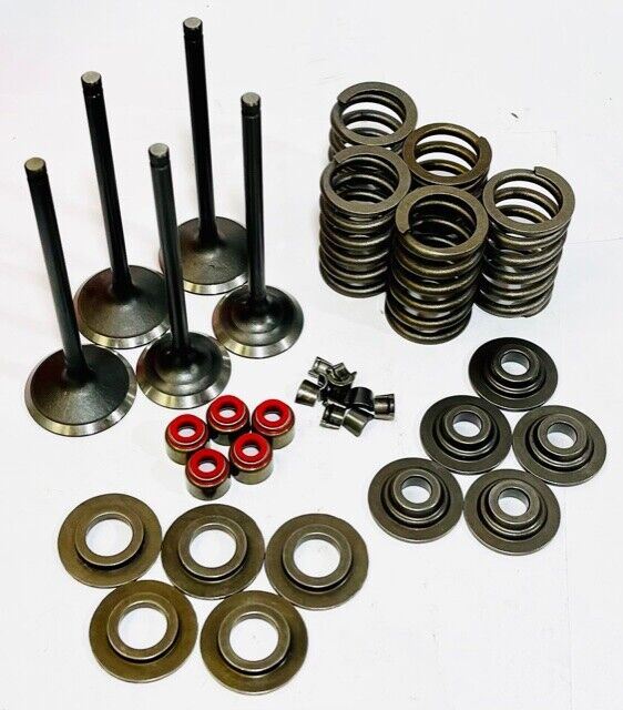 Grizzly YFM 660 Valves Springs Valve Spring Stem Seals Keepers Head Rebuild Kit