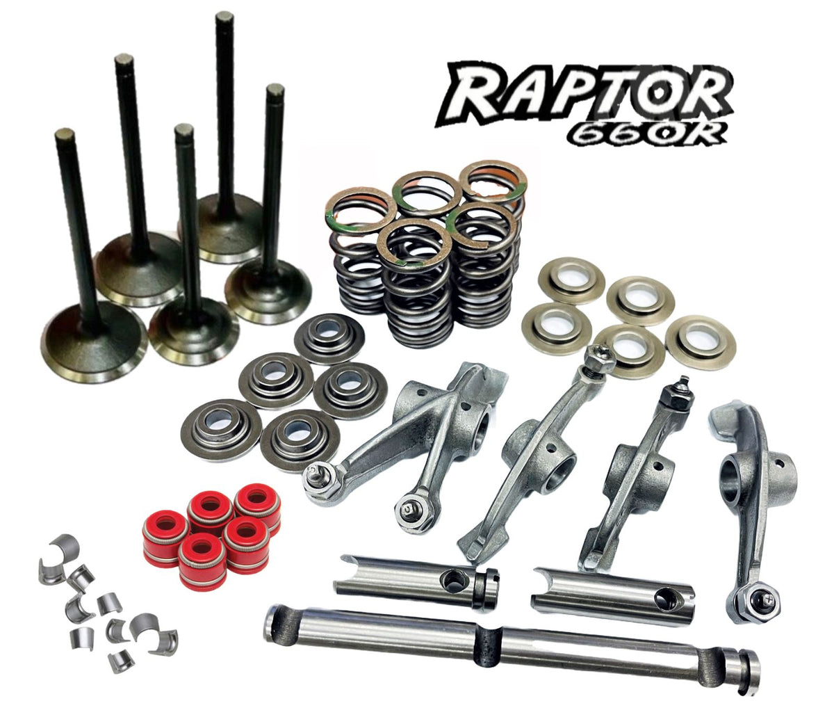 Raptor Rhino Grizzly 660 Valve Springs Valves Rocker Arm Shafts Head R