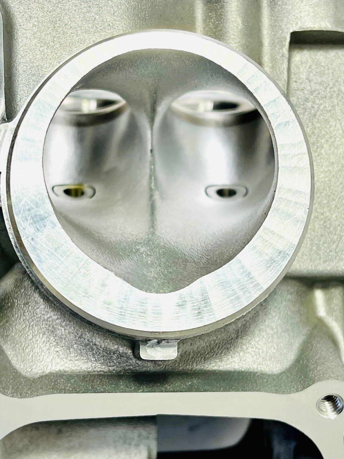 Best Raptor 700 Ported Cylinder Head Porting Port +1 Valves Stage