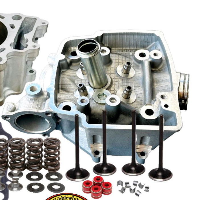 06+ TRX450R Ported Port Head Porting Big Bore Kit 100mm Top End KPMI +1 Valves