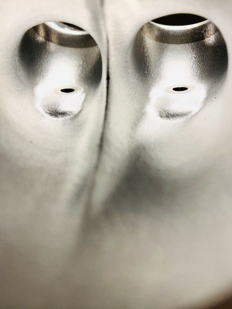 Rhino Grizzly 660 Ported Head Porting Assembled Assembly Kibblewhite Valves Kit