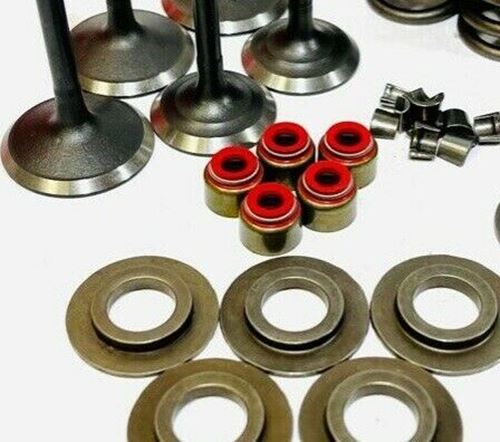 Grizzly 660 Valves Springs Valve Rocker Arms Guides Complete Head Rebuild Kit