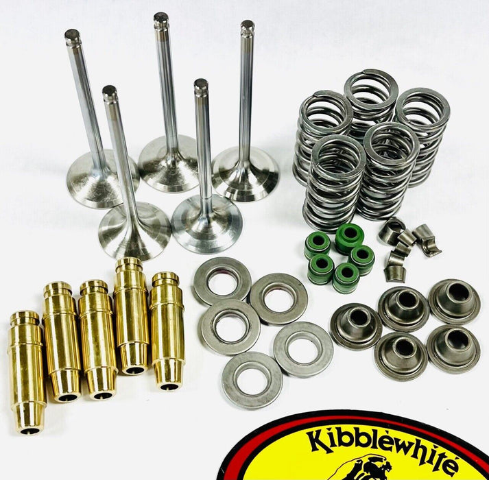 Raptor Rhino 660 Kibblewhite Valves Stainless Valve Spring Guides Head Redo Kit