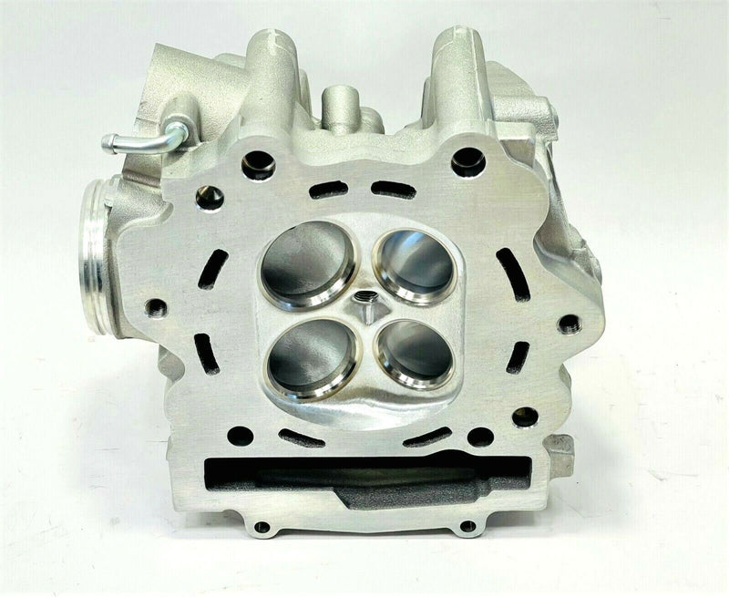 19+ Kodiak Grizzly 700 Ported Head Porting Full Race Port Polish Cylinder Head
