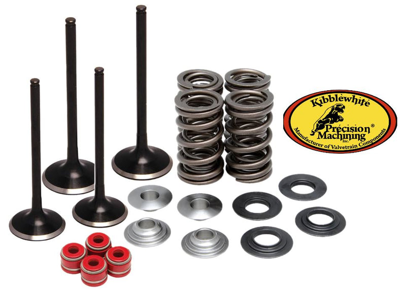 King Quad LTA 750 Black Diamond Valves Valve Springs Kibblewhite Head Rebuild