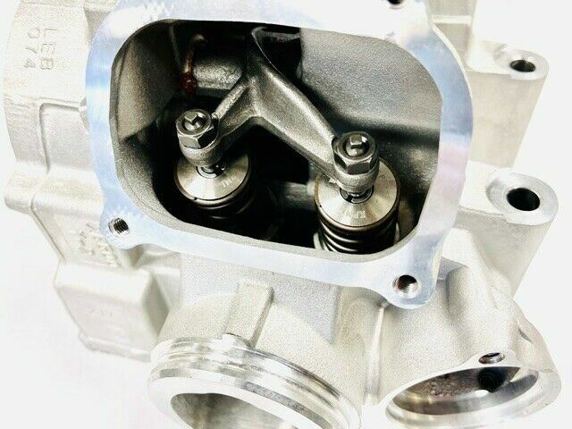 Rhino Grizzly 700 Ported Cylinder Head Assembly Port Polish Valves Hotcam Kit