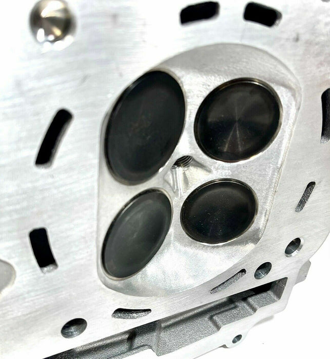 Rhino Grizzly 700 Ported Cylinder Head Assembly Port Polish Valves Hotcam Kit