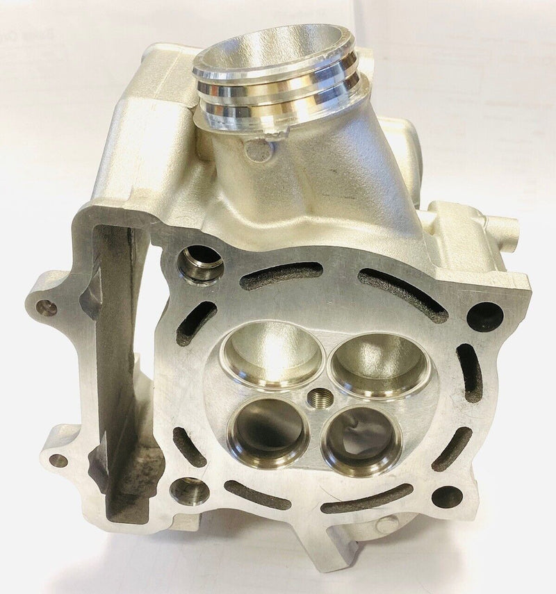 07 08 09 RMZ 250 RMZ250 Ported Cylinder Head Porting Port New OEM
