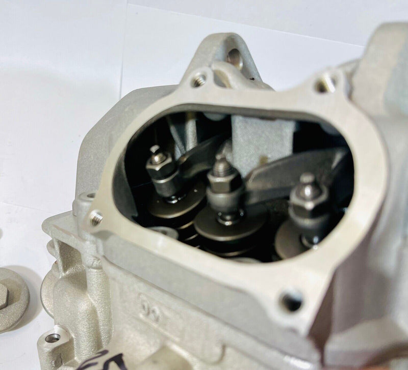 Rhino 660 Assembled Cylinder Head Assembly Valve Cover Springs Rockers Gaskets