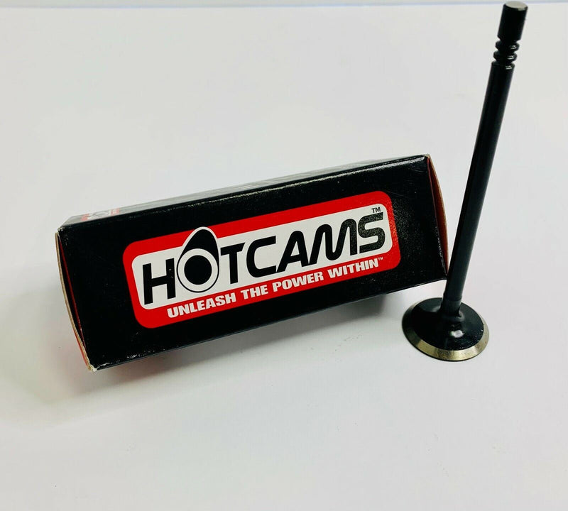 🔥 Hot Cams Steel Exhaust Replacement Valves RZR XP 900 1000 HC00040 ⚡