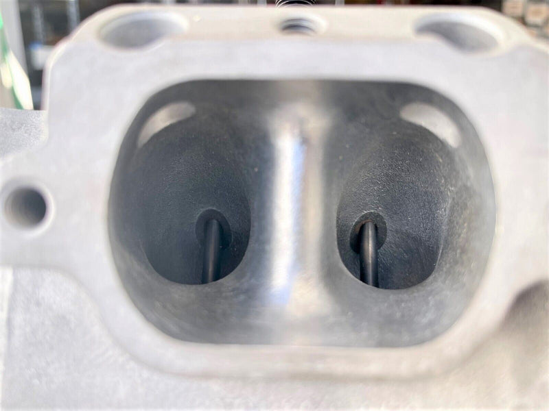 08 09 10 RZR 800 RZR800 Complete Motor Engine Rebuilt Top Bottom End Assembly